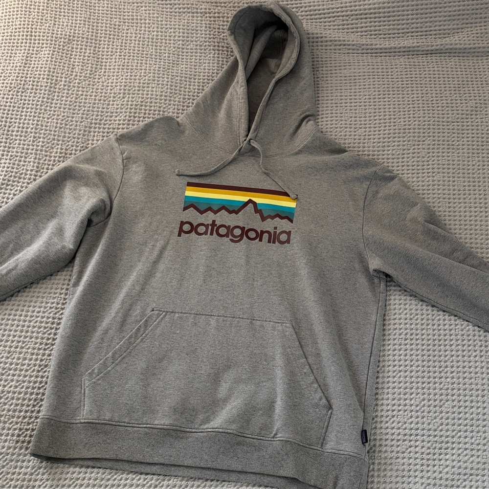 Patagonia Gray Hoodie with Multicolor Logo